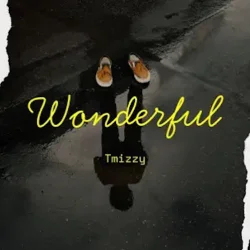 TMizzy MrHorrizen - Wonderful (feat. Small Doctor)