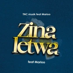 TNC - Zinaletwa L (feat. Marioo)
