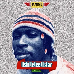 Tamimu - Usiniletee Ustar