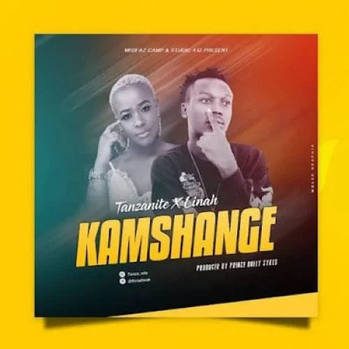 Tanzanite - Kamshange (feat. Linah)