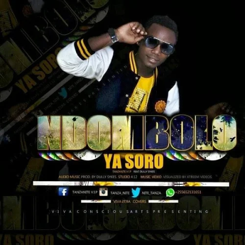 Tanzanite - Ndombolo Ya Solo (feat. Dully Sykes)