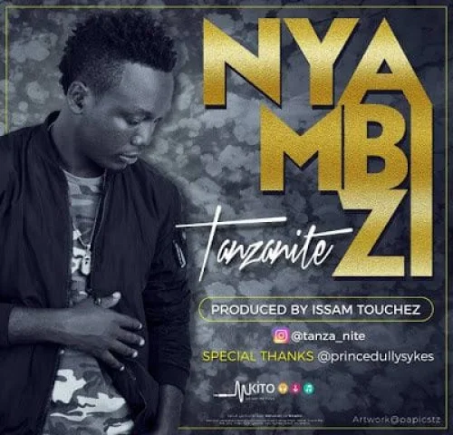 Tanzanite - Nyambizi