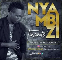 Tanzanite - Nyambizi