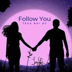 Tega Boi DC - Follow You