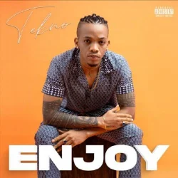 Tekno - Enjoy