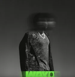 Tekno - Wayo