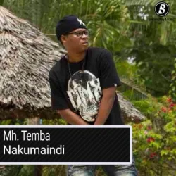 Temba - Nipe Mimi (feat. Ray C)