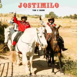Teni - Jostimilo (feat. Skiibii)