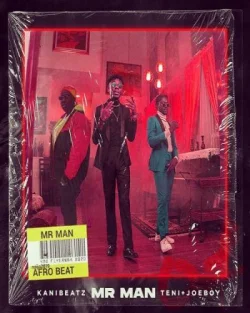 Teni - Mr Man