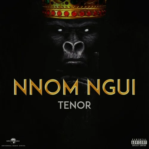 Tenor - Appeler (feat. Kiff No Beat)