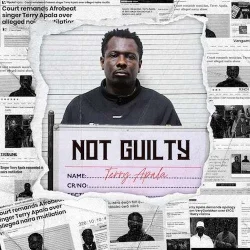 Terry Apala - Echoes Of Pain