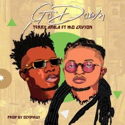 Terry Apala - Go Down