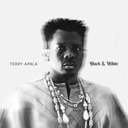 Terry Apala - Sebebe (feat. Spellz)