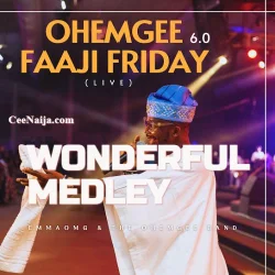 The OhEmGee Band - Wonderful Medley (Live)