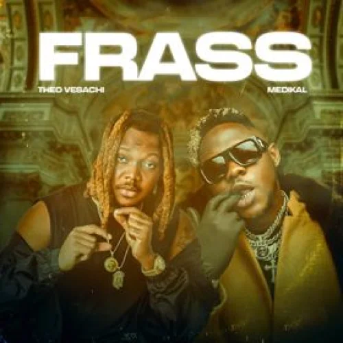 Theo Vesachi - Frass (feat. Medikal)