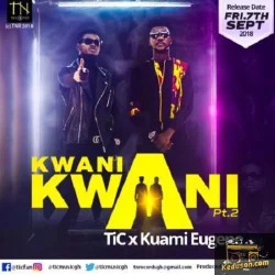 Tic - Kwani Kwani