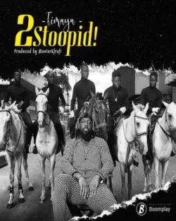 Timaya - 2 Stoopid