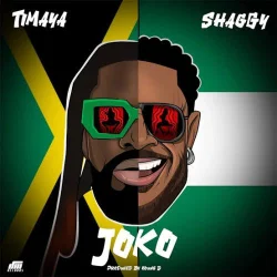 Timaya - Joko