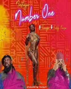 Timaya - Number One