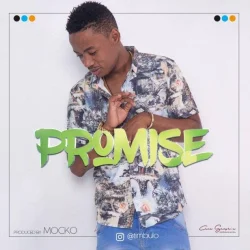 Timbulo - Promise