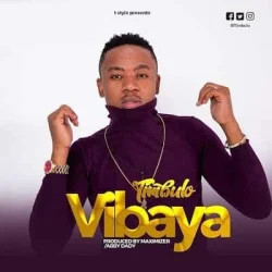 Timbulo - Vibaya