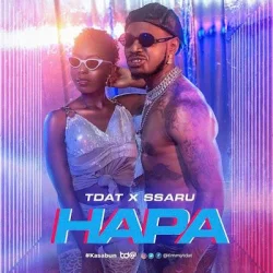 Timmy TDat - Hapa (feat. Ssaru)