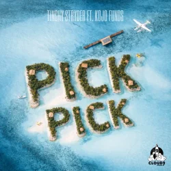 Tinchy Stryder - Pick Pick (feat. Kojo Funds)