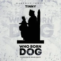 Tinny - Who Born Dog