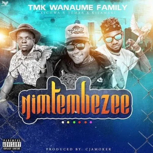 Tmk Wanaume Family - Nimtembezee (feat. Tk Nendeze)