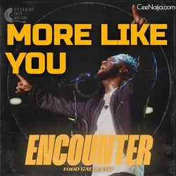 Todd Galberth - More Like You