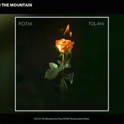 Tolani - Fire On The Mountain