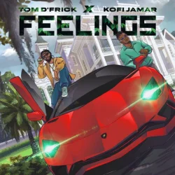 Tom D’Frick - Feelings (feat. Kofi Jamar)