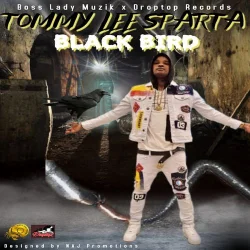 Tommy Lee Sparta - Black Bird