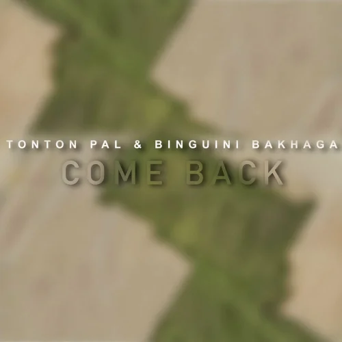 Tonton Pal - Come Back (feat. Binguini Bakhaga)