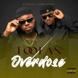 Toofan - Everybody (feat. Chidinma)