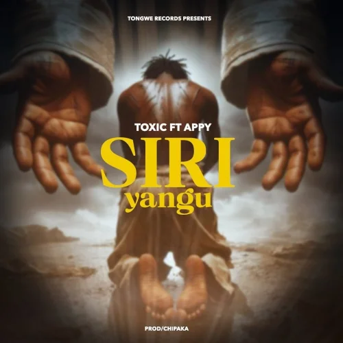 Toxic - Siri Yangu (feat. Appy)