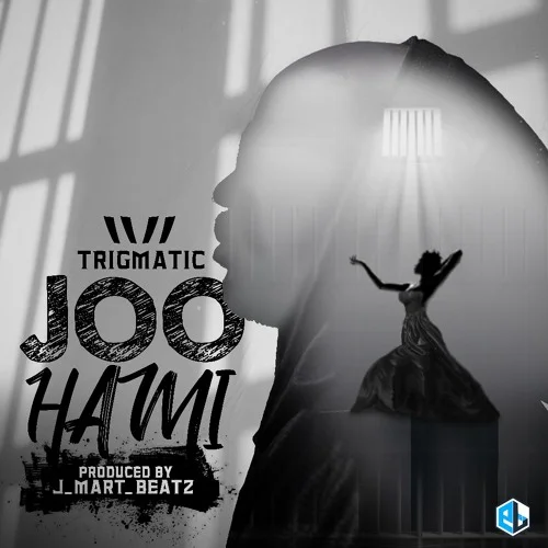 Trigmatic - Joo Hami