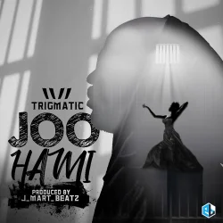 Trigmatic - Joo Hami