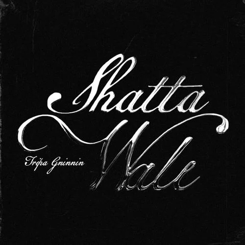 Tripa Gninnin - Shatta Wale