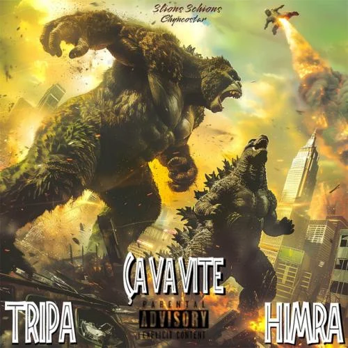 Tripa Gninnin - ça Va Vite