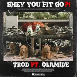 Trod - Shey You Fit Go?