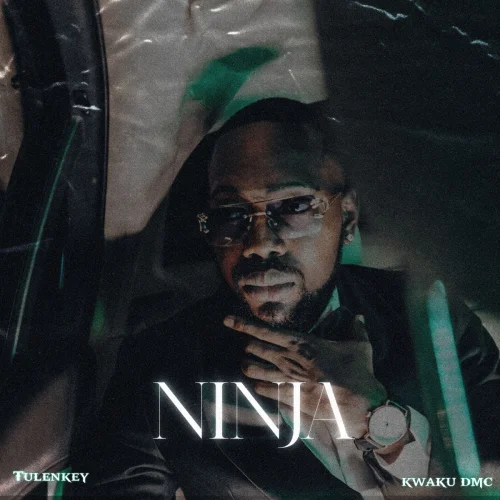 Tulenkey - Ninja (feat. Ninja & Kwaku DMC)