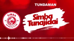 TundaMan - Simba Tunajidai