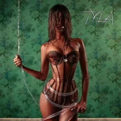 Tyla - Shake Ah (feat. Tony Duardo, Optimist & Maestro)