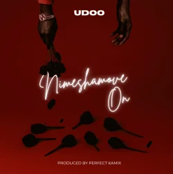 Udoo - Nimeshamove On