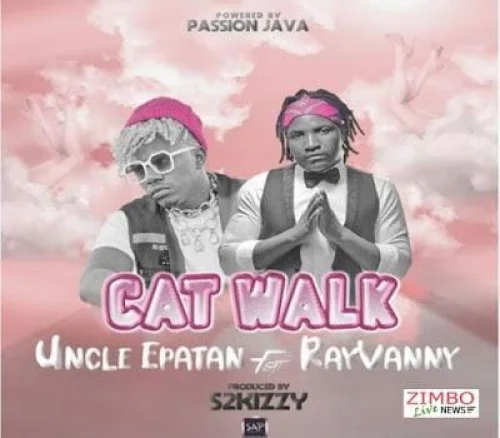 Uncle Epatan - Cat Walk (feat. Rayvanny)