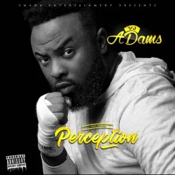 VJ Adams - Based On Believe (feat. Harrysong)