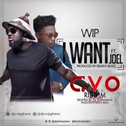 VVIP - I Want (AVO Riddim) (feat. Joel) (Hosted By DJ Shiwaawa))