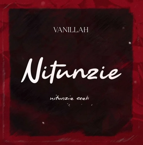 Vanillah - Nitunzie (feat. Nitunzie)