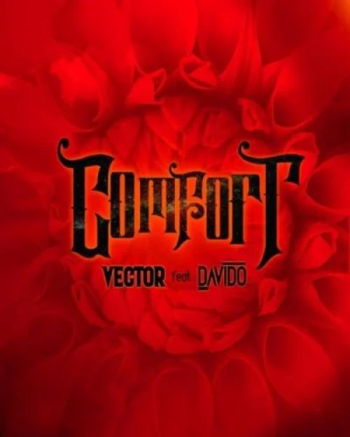 Vector - Comfort